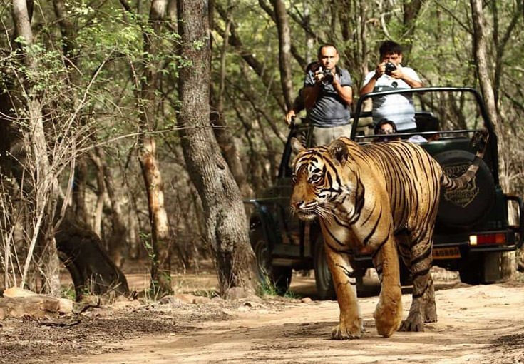 Corbett Fun Tour Package