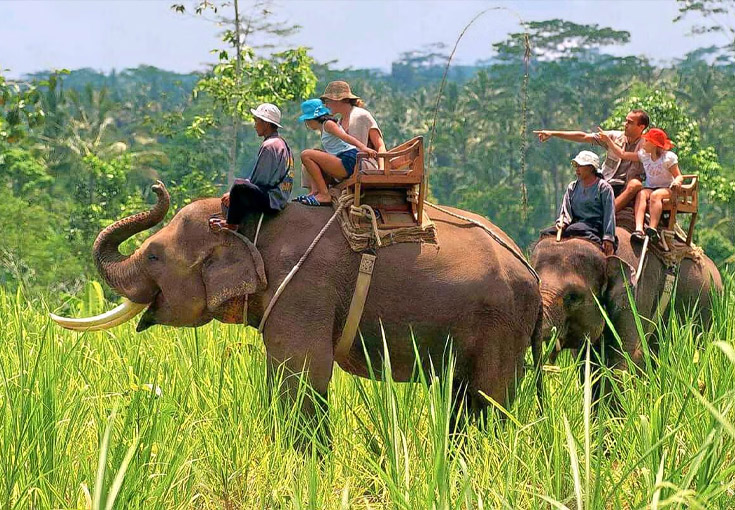 Dhikala Forest 2N 3D Tour