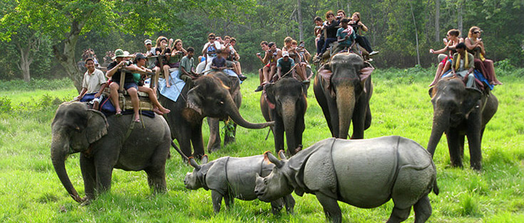 Elephant Ride in Corbett